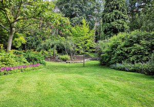 Optimiser l'expérience du jardin à Herbeuval