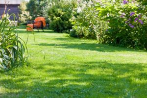 travaux jardin et paysage Herbeuval